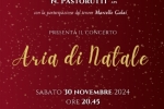 Concerto-Aria-di-Natale-2024_page-0001